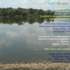 Nirantara Music Album - Image 5